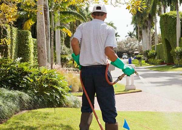 About Dexter ME Pest Control Pros
